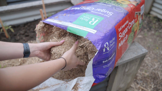 How To Apply Sugar Cane Mulch To Your Garden