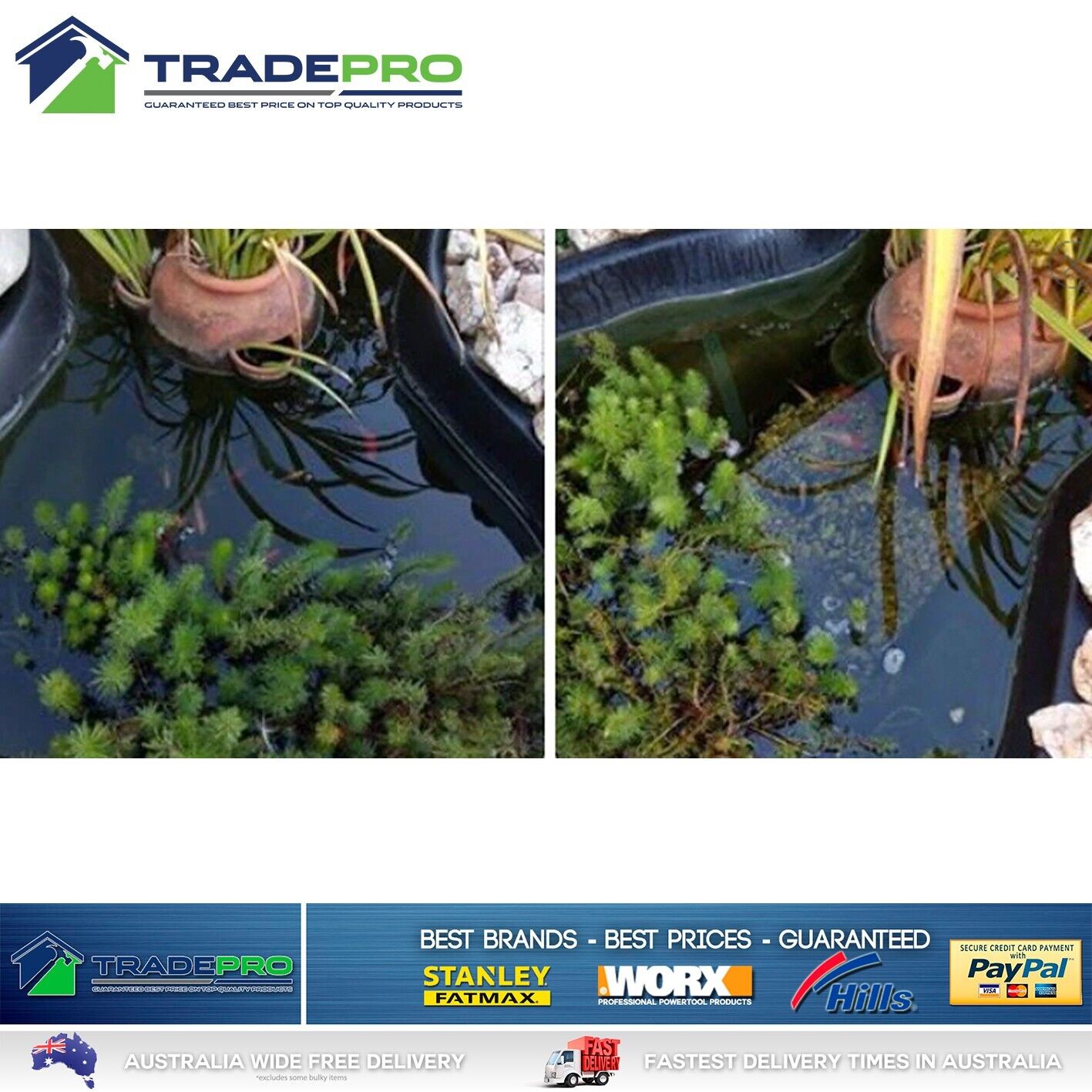 Splosht Fish Pond Natural Water Feature Cleaner 150L Algae Clear Aquarium PRO