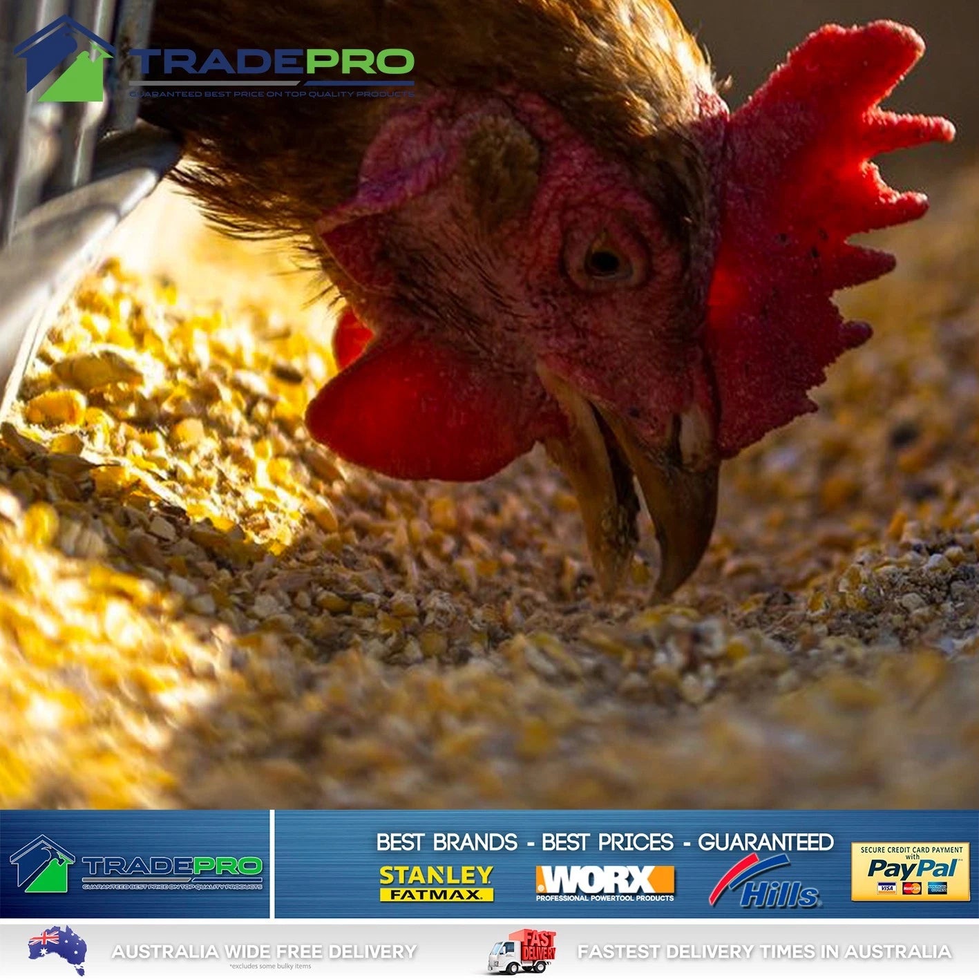Chicken Scratch Mix 20kg Poultry Feed Chook Food Avigran Free Range