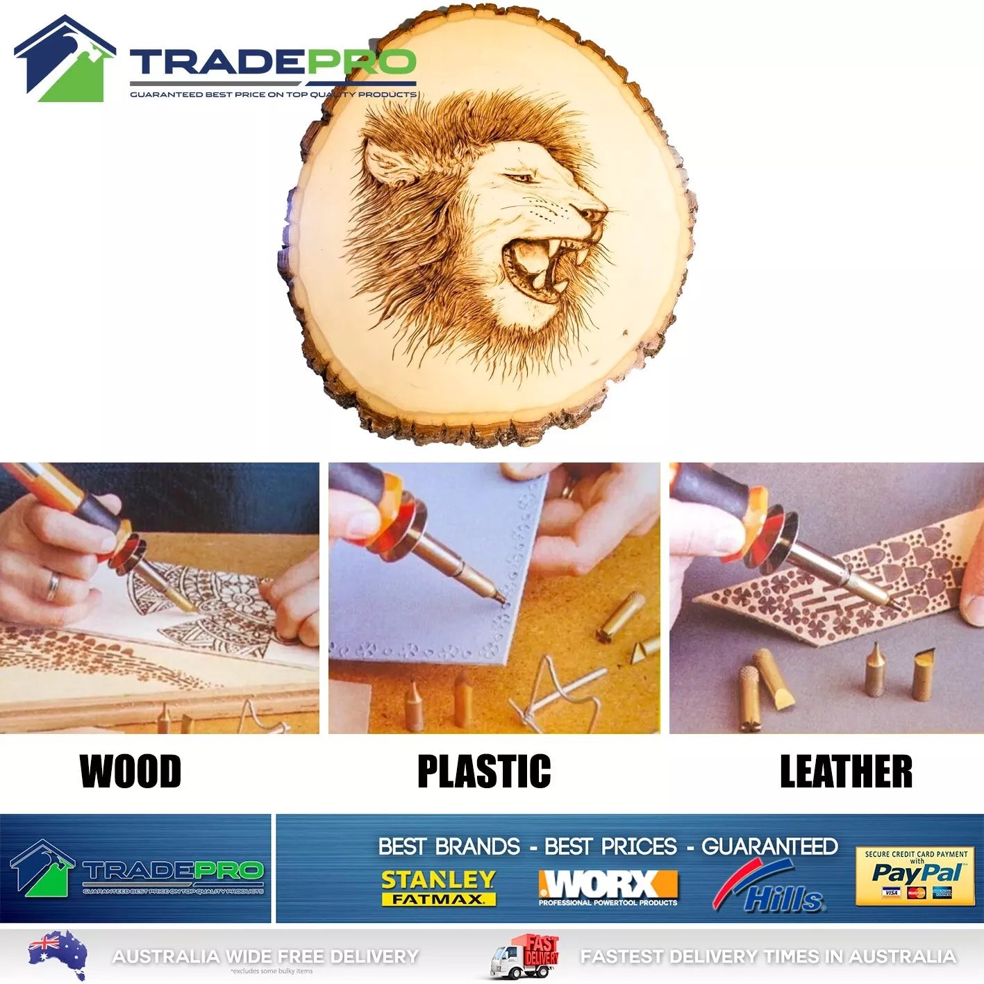 Professional Wood Leather Burning Hobby Kit 7pc Pyrography Set 30W 240V Lion