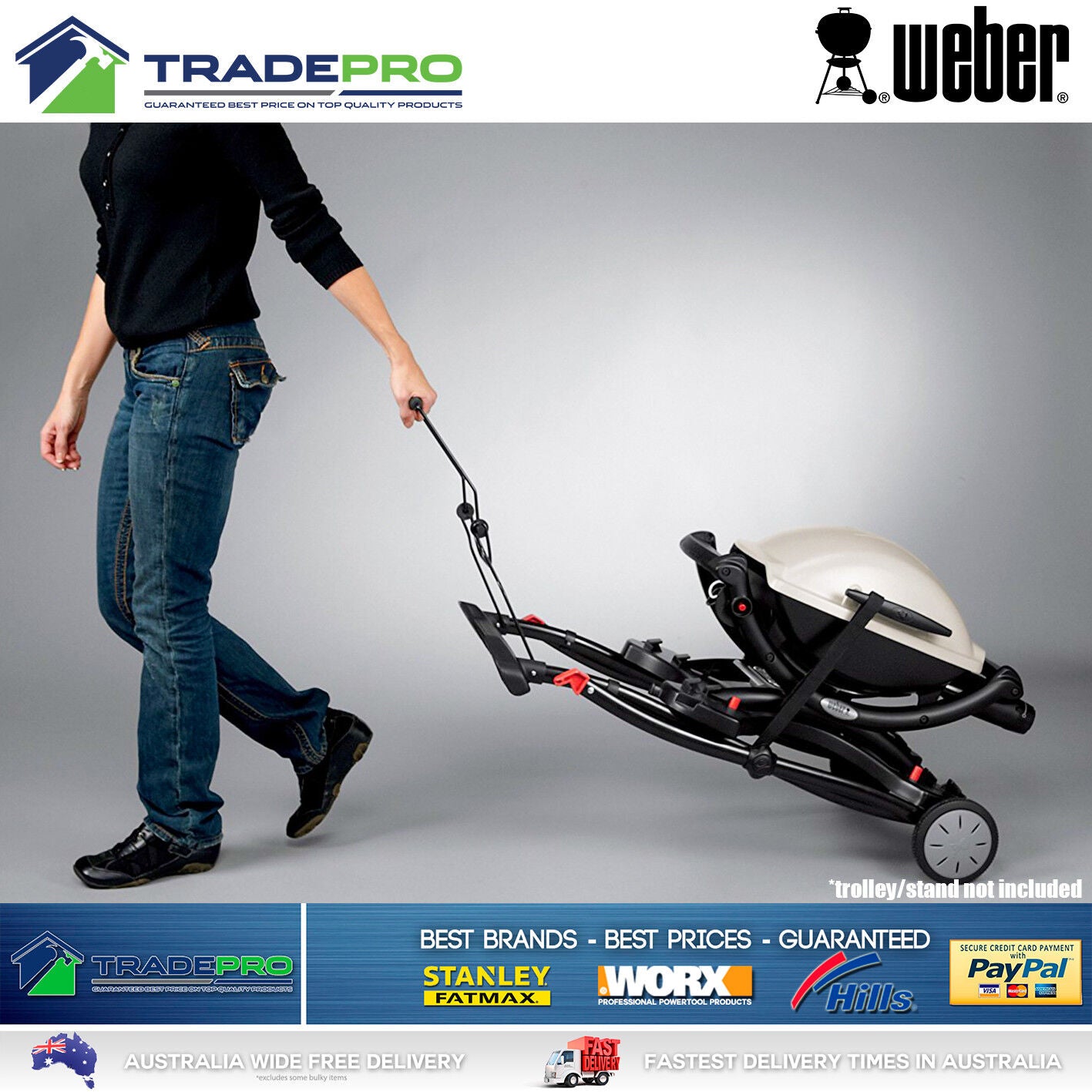 BBQ Weber Q2000 PRO Portable Gas Barbecue Grill Stainless Steel Burner with Hose