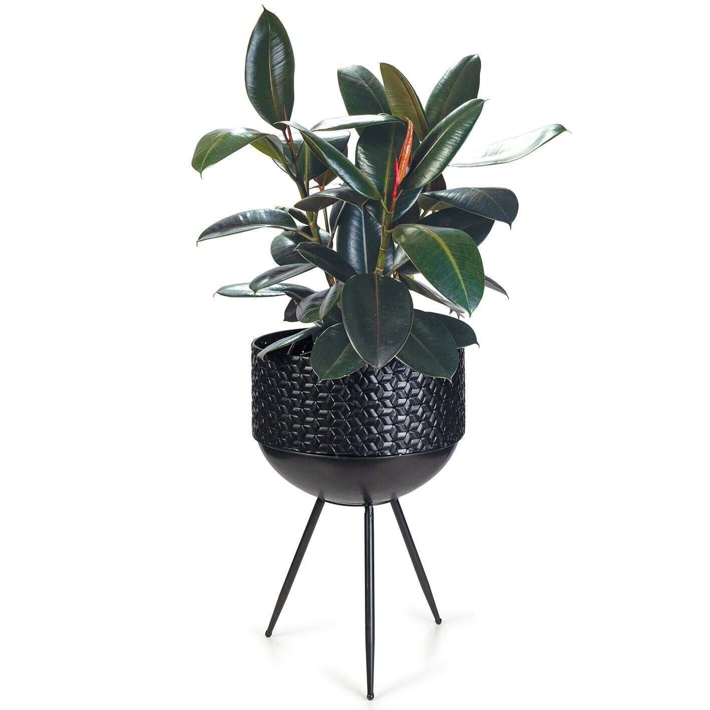 Plant Stand & Pot Luxe Bowl Black Metal Flower Planter Garden Rack Shelving Legs