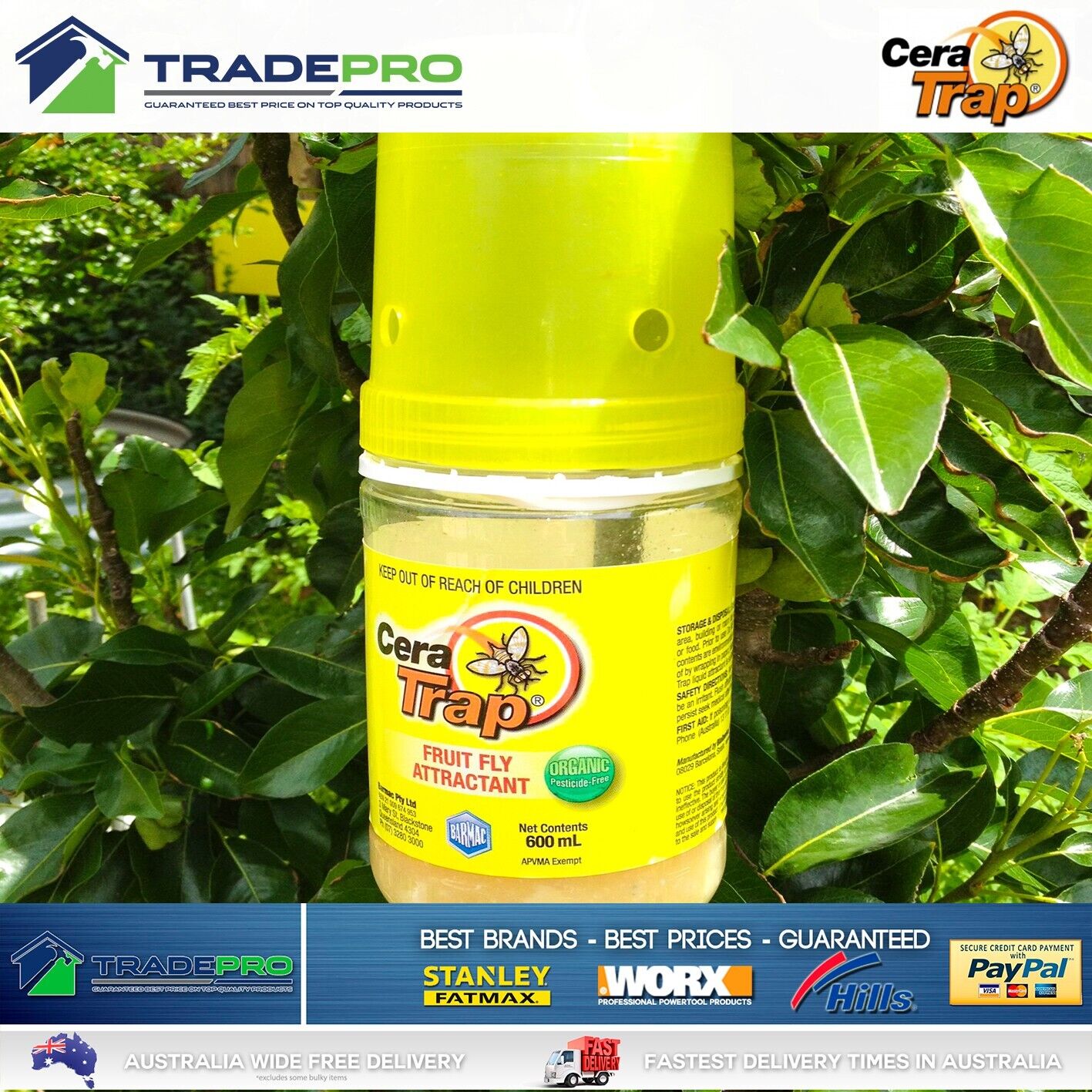 Fruit Fly Trap Cera Trap® 600ml Organic Fruitfly Catcher Natural Kit