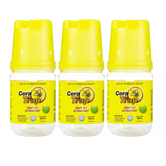 3x Fruit Fly Trap Cera Trap® 600ml Organic Fruitfly Catcher Natural Empty
