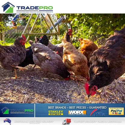 Poultry Chicken Dust 400g PRO David Grays Lice Fleas Feather Mites Ticks Pest