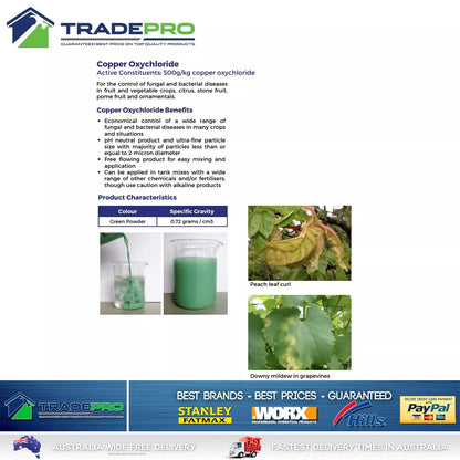 Fungicide Copper 2kg Black Spot Brown Rot Rust Fruit Vegetable Crops Citrus