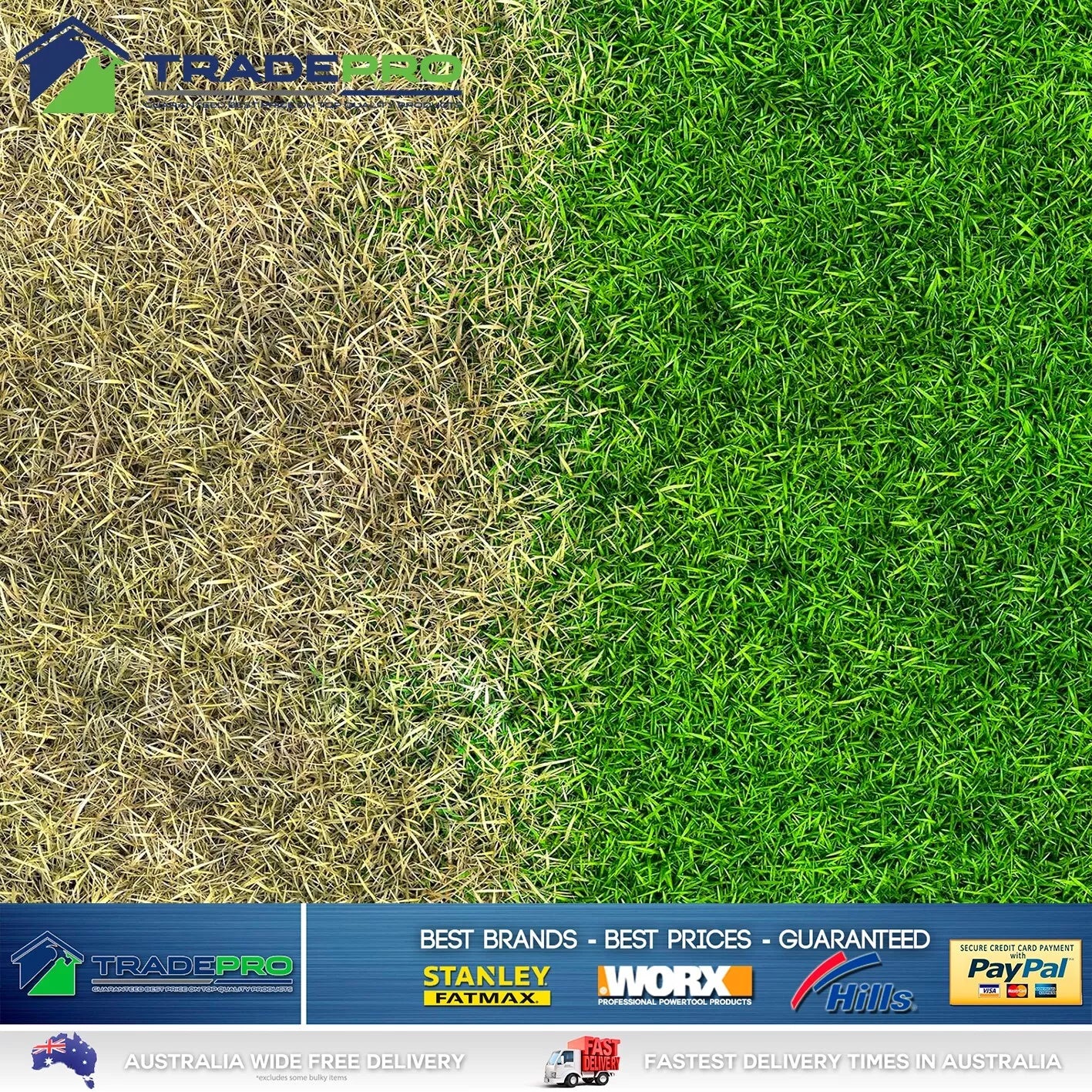 Lawnporn Green Light Fertiliser 5L Concentrate Rapid Lawn Porn Turf Garden Grow