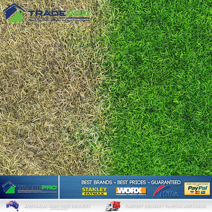 Lawnporn Green Light Fertiliser 5L Concentrate Rapid Lawn Porn Turf Garden Grow