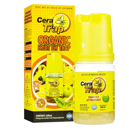 Fruit Fly Trap Cera Trap® 600ml Organic Fruitfly Catcher Natural Kit