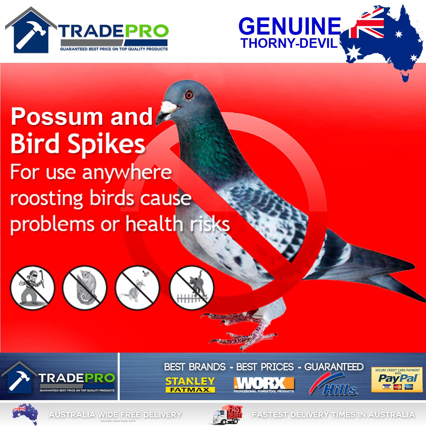 Thorny Devil® Spikes PRO Clear Polycarb 42cm Fence Animal Bird Possum Deterrent