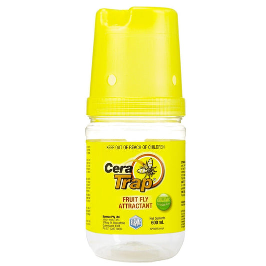 Fruit Fly Trap Cera Trap® 600ml Organic Fruitfly Catcher Natural Empty