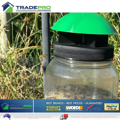 Wasp Trap EnviroSafe® Ultimate with Bait Safe & Easy European Wasps Kill Hornet