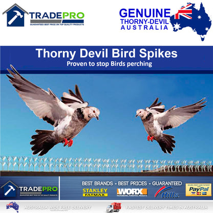 Thorny Devil® Spikes PRO Clear Polycarb 42cm Fence Animal Bird Possum Deterrent